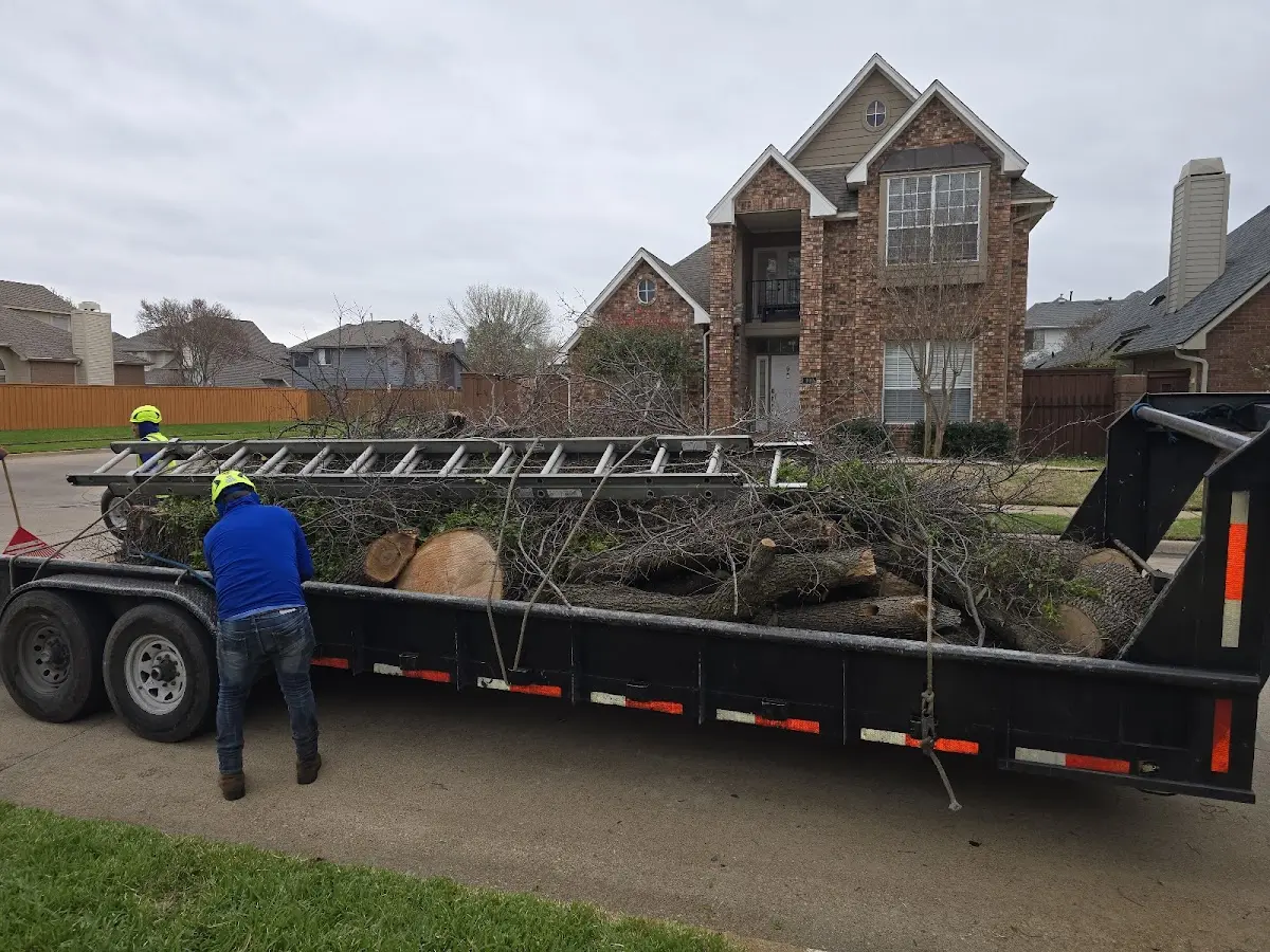 Expert Tree Pest Control with proper safety equipment in Crossett